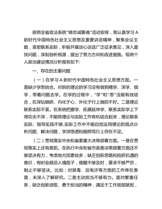 个人政治建设情况分析报告2800字