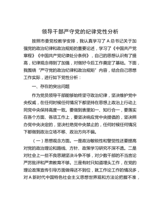 个人严守政治纪律政治规矩党性分析