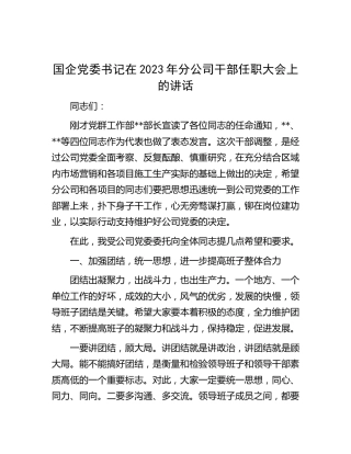 国企书记在2023年分公司干部任职大会上的讲话