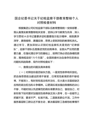 国企纪委书记纪检监察干部教育整顿个人检视对照检查（公司2900字）