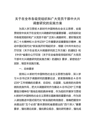 在全市大兴调查研究实施方案