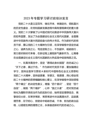 二十大专题学习研讨班培训发言