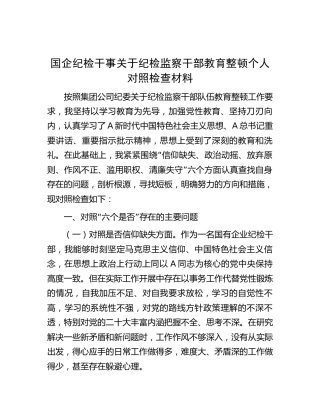 国企纪检干事纪检监察干部教育整顿个人检视对照检查（公司2800字）