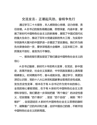 二十大研讨发言：正潮起风劲，奋楫争先行