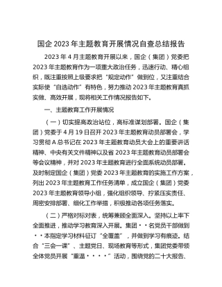 国企公司主题教育开展情况自查总结报告