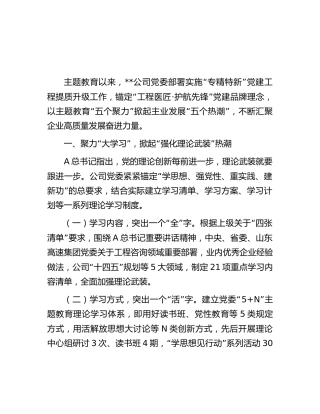 国企公司主题教育经验做法总结交流3900字