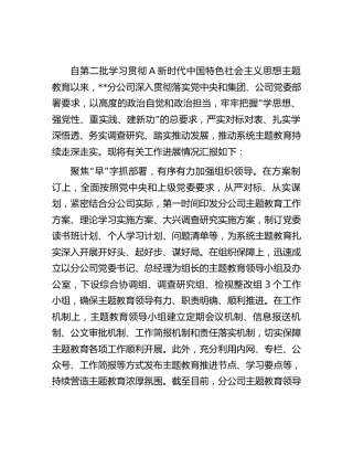 国企公司主题教育阶段性进展情况总结汇报3500字