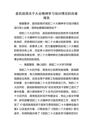 二十大精神学习培训情况的自查总结报告（民政2700字）