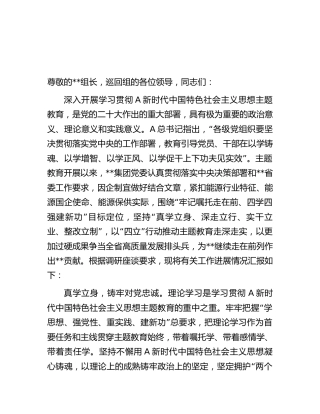 国企公司在主题教育巡回指导组调研座谈会上的汇报发言（总结2700字）