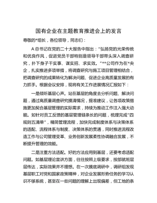 国企公司在主题教育推进会上的汇报发言1600字