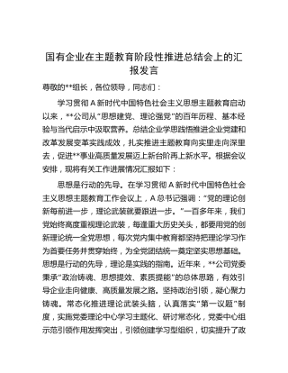 国企公司在主题教育阶段性推进总结会上的汇报发言4500字