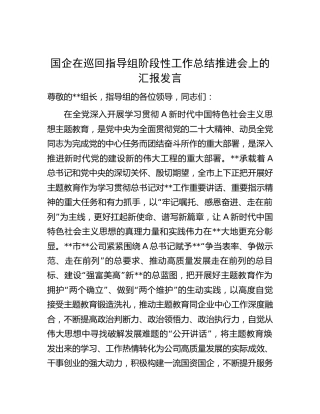 国企公司在巡回指导组主题教育阶段性工作总结推进会上的汇报发言