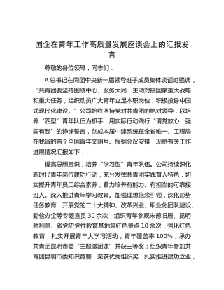 国企公司在青年工作高质量发展座谈会上的汇报发言