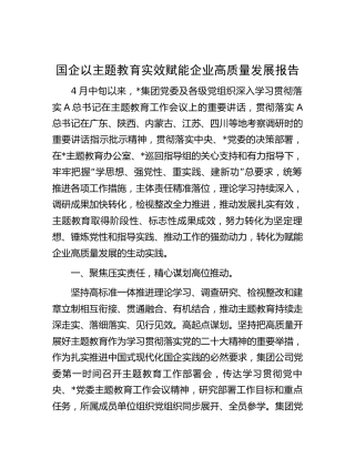 国企公司以主题教育实效赋能企业高质量发展总结报告5800字