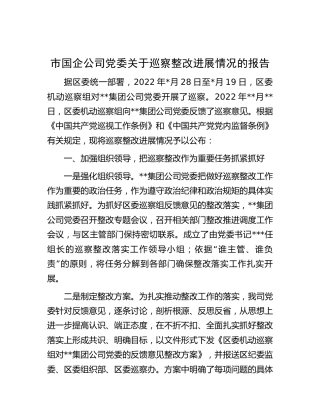 国企公司巡察整改进展情况的总结报告