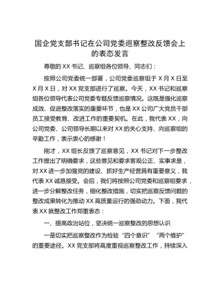 国企公司巡察整改反馈会上的表态发言