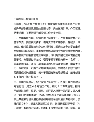 干部监督工作情况汇报 (2)
