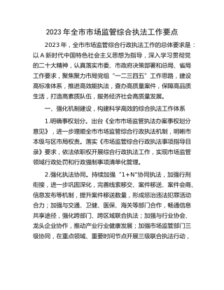 2023年市场监管综合执法工作要点