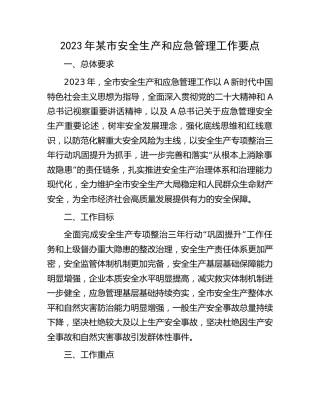 2023年市安全生产和应急管理工作要点