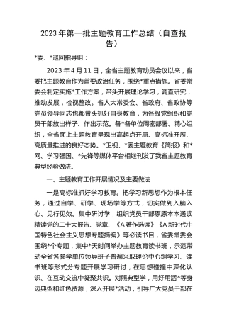 2023年省主题教育工作总结（自查报告）