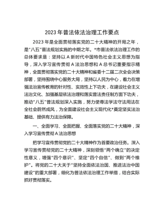 2023年普法依法治理工作要点