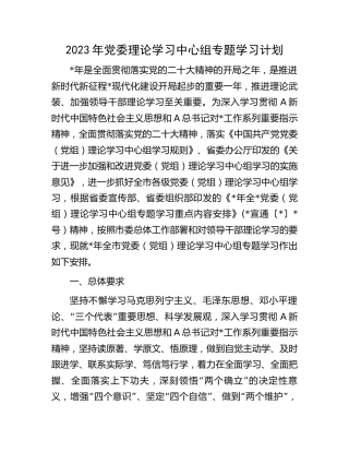 2023年理论中心组专题学习计划6500字