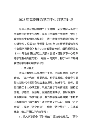 2023年理论中心组学习计划5300字