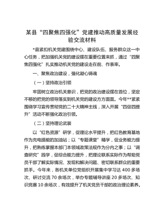 县“四聚焦四强化”党建推动高质量发展经验交流发言
