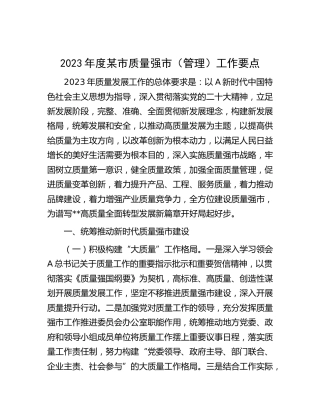 2023年度市质量强市（管理）工作要点