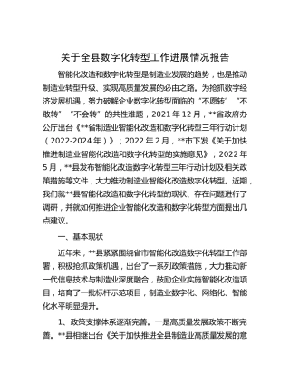 全县数字化转型工作进展情况报告