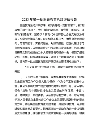 2023年第一批主题教育总结评估报告3400字