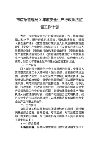 市应急管理局安全生产行政执法监督工作计划