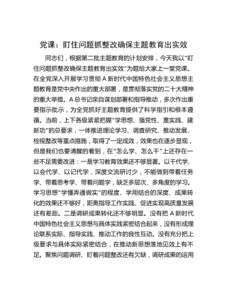 党课：盯住问题抓整改 确保主题教育出实效4800字