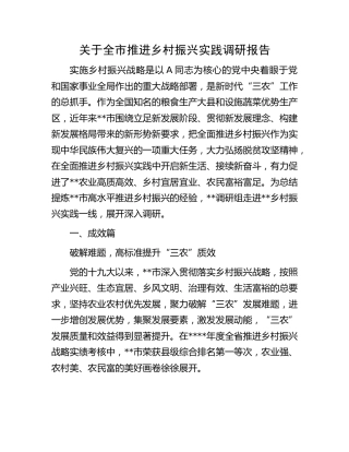 全市推进乡村振兴实践调研报告