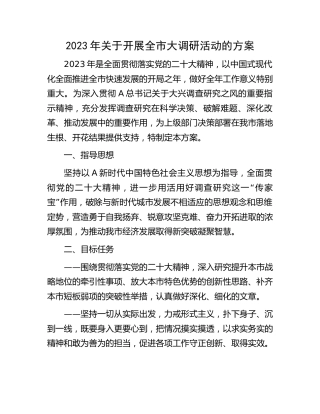 2023开展全市大调研活动的方案（大兴调查研究）