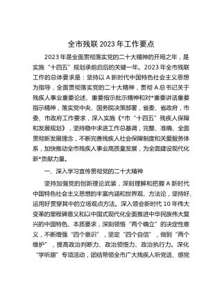 全市残联2023年工作要点