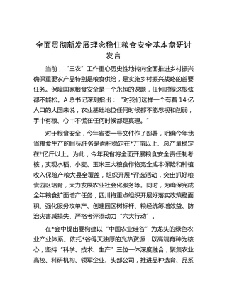 全面贯彻新发展理念稳住粮食安全基本盘研讨发言（三农）