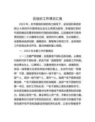 区组织工作情况总结汇报