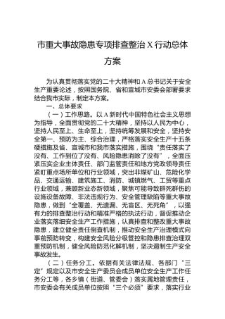 市重大事故隐患专项排查整治2023行动总体方案(20230716)