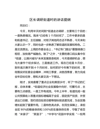 区长调研街道时的讲话