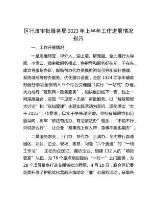 区行政审批服务局2023年上半年工作进展情况总结报告