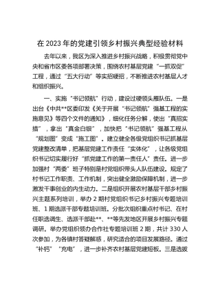 在党建引领乡村振兴典型经验材料