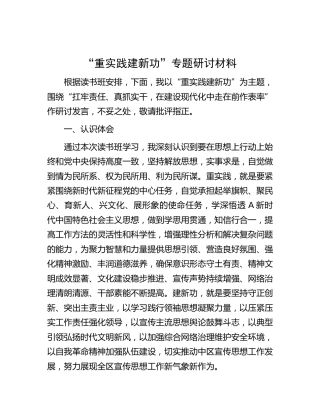 “重实践  建新功”专题研讨发言