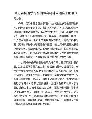 在传达学习两会精神专题会上的讲话（市2200字）