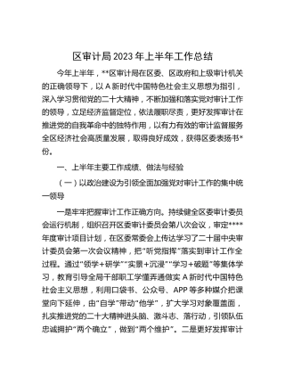 区审计局2023年上半年工作总结