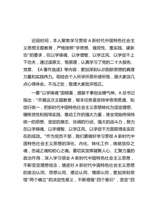 2023年度主题教育读书班的专题研讨发言