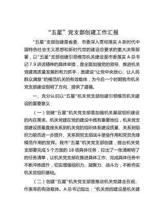 “五星”党支部创建工作总结汇报4400字（市）