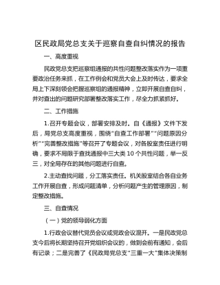 区民政系统党总支关于巡察自查自纠情况的总结报告