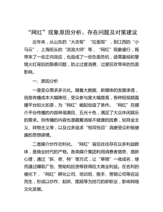 “网红”现象原因分析、存在问题及对策建议（调研报告）