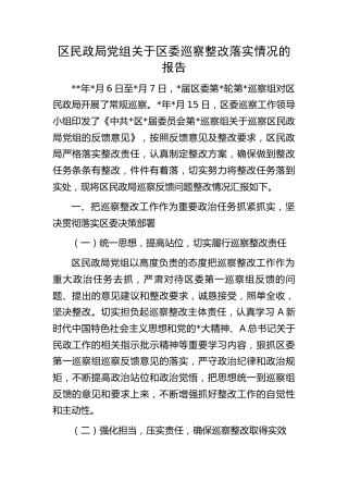 区民政局巡察整改落实情况的总结报告